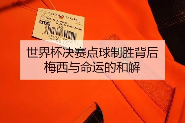 世界杯决赛点球制胜背后 梅西与命运的和解 | hth